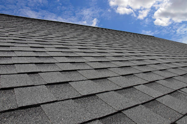 Best Asphalt Shingle Roofing  in Langley Park, MD